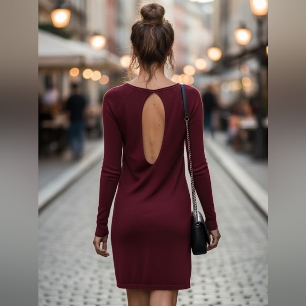 Aritzia Wilfred Silk Blend Sweater Dress Size XXS